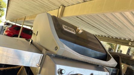 Grilled
