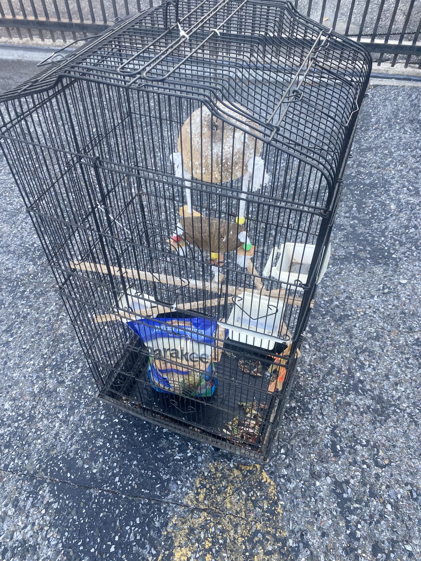 Very Tall Birds Cage
