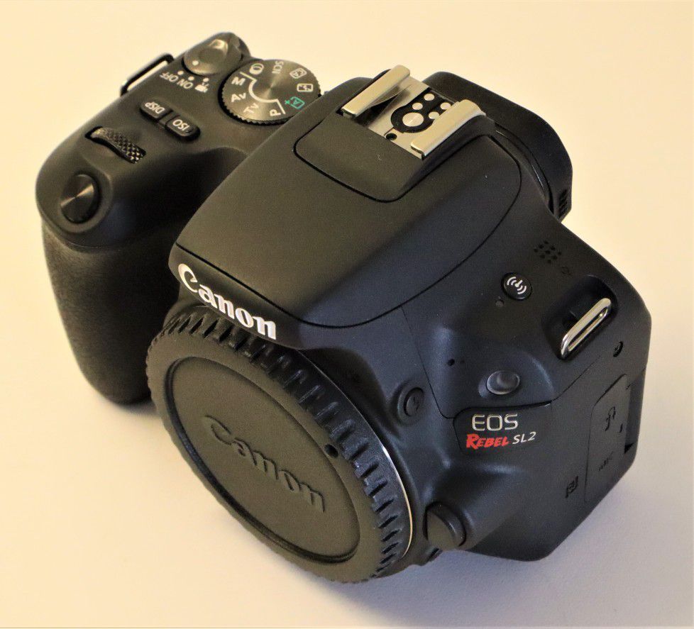 Canon EOS SL2 camera body