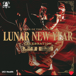 2 tickets Ducks vs Oilers 2/25 Sect 424 Row D