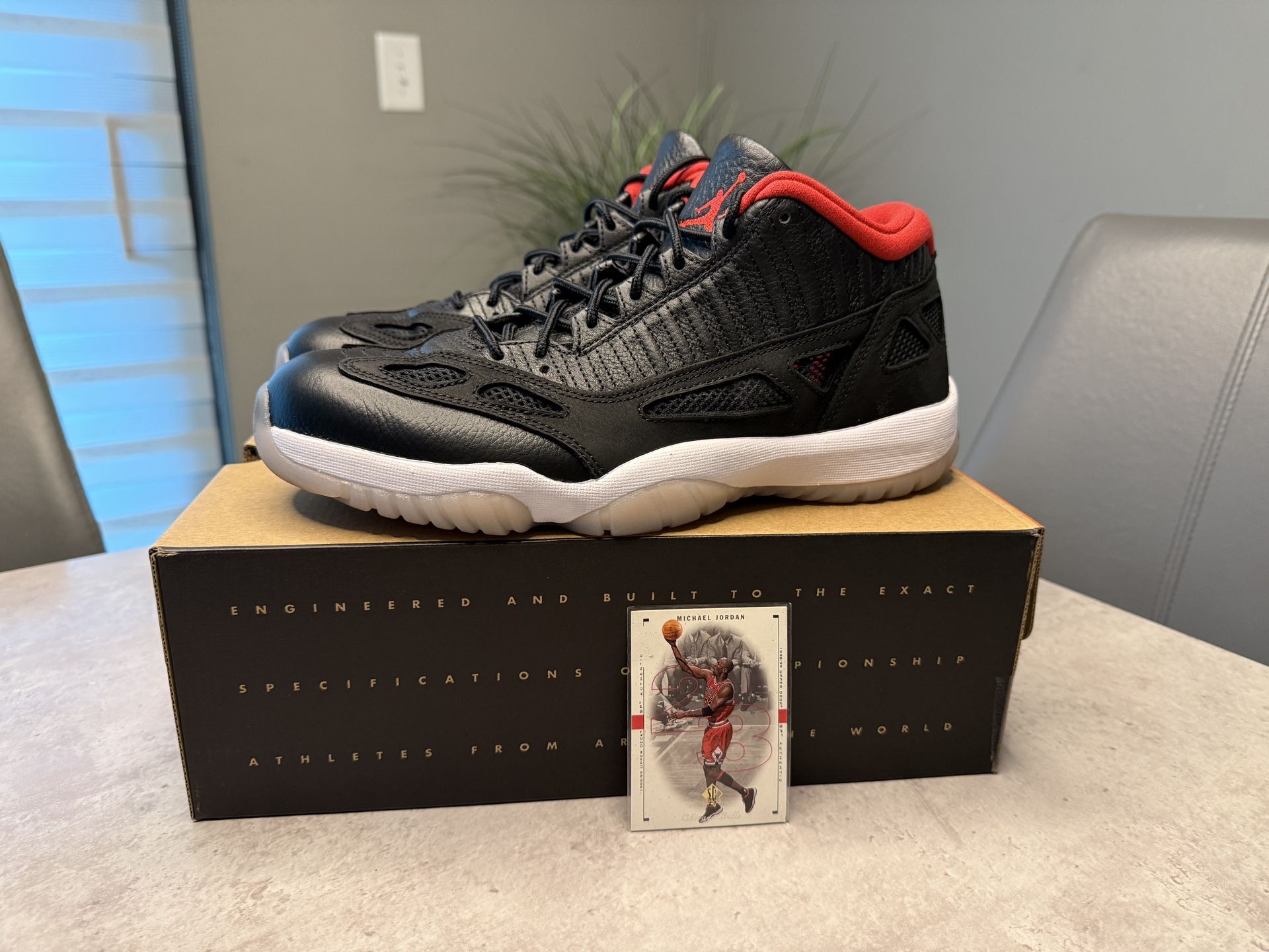 Jordan 11 Low IE (Size 11)