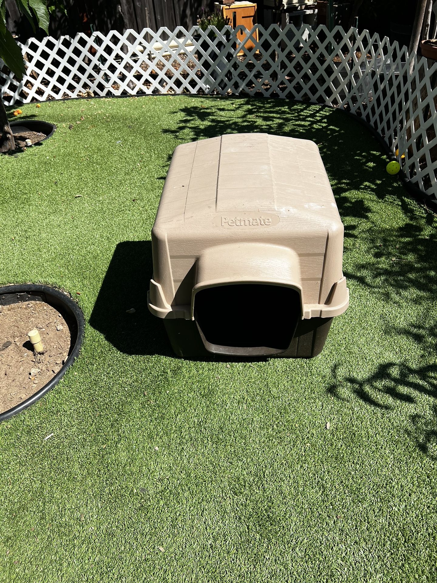 Dog House