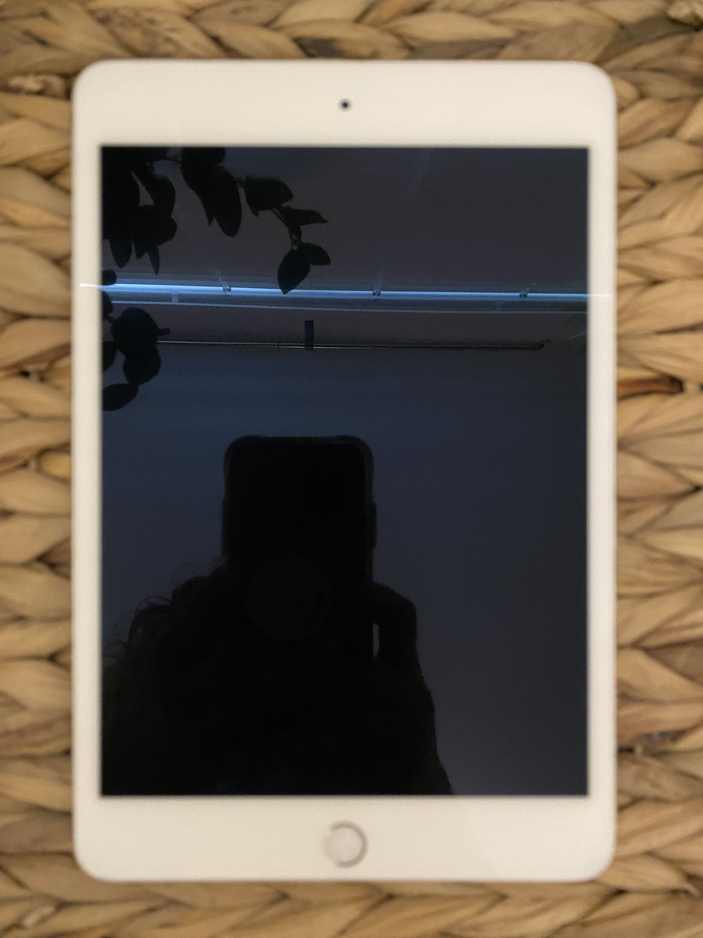 iPad mini 4