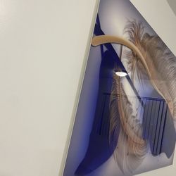 Cuadro De Acrylico $250