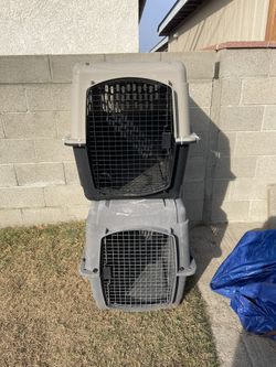 2 Large Kennels