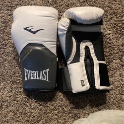 Everlast Evershield Boxing Type Gloves