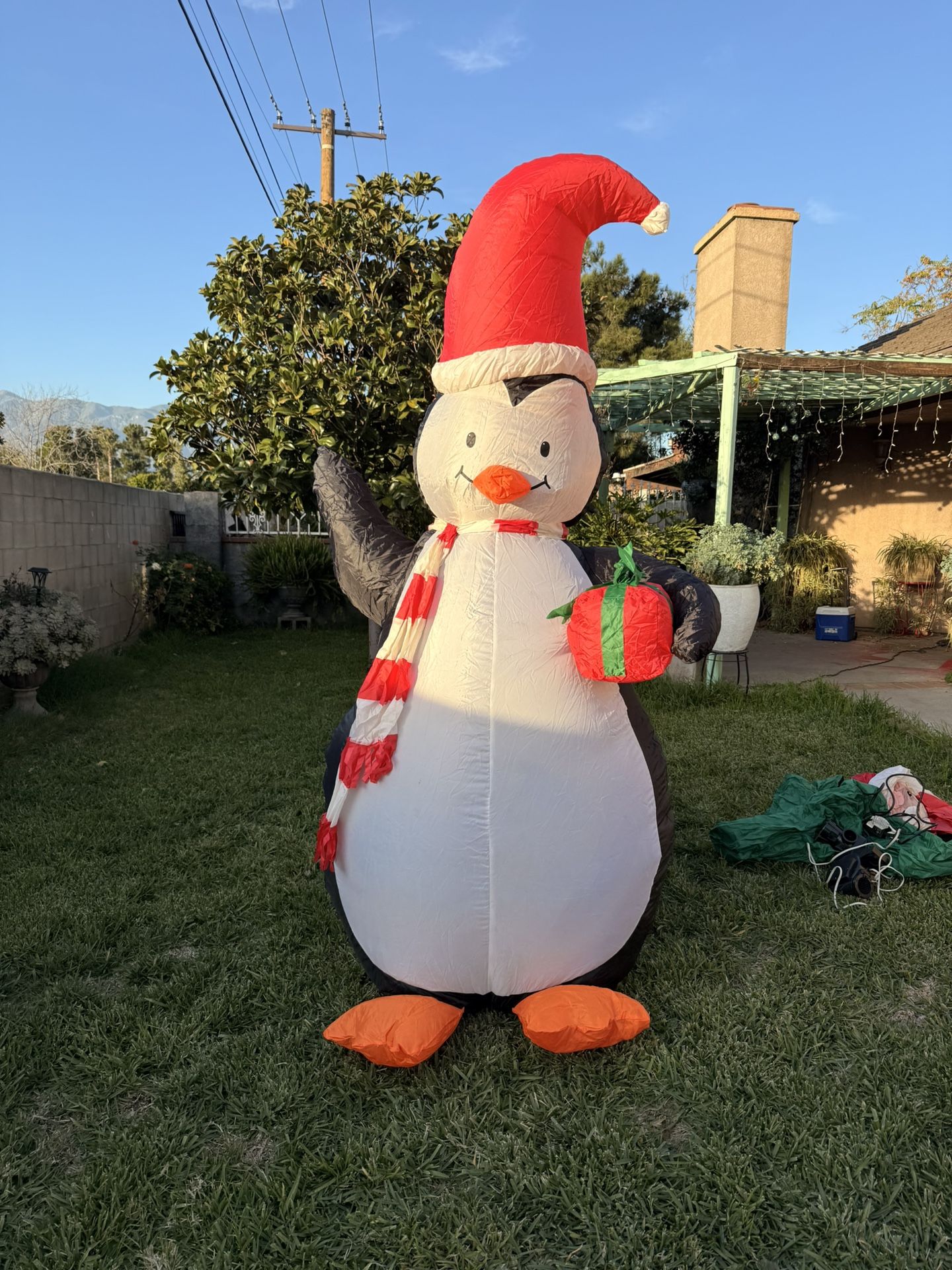 Penguin Inflatable