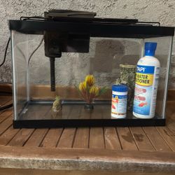 Used Fish Tank 