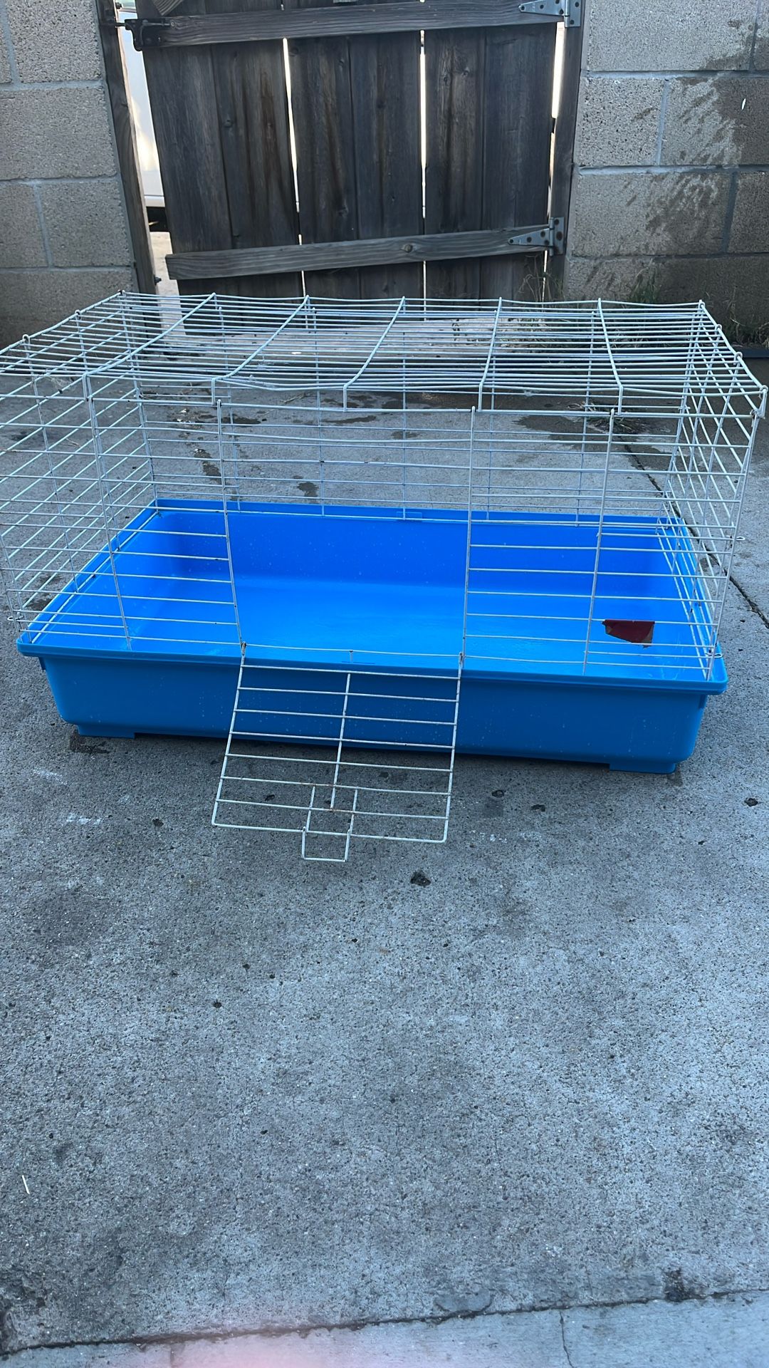 Guniea Pig Cage 