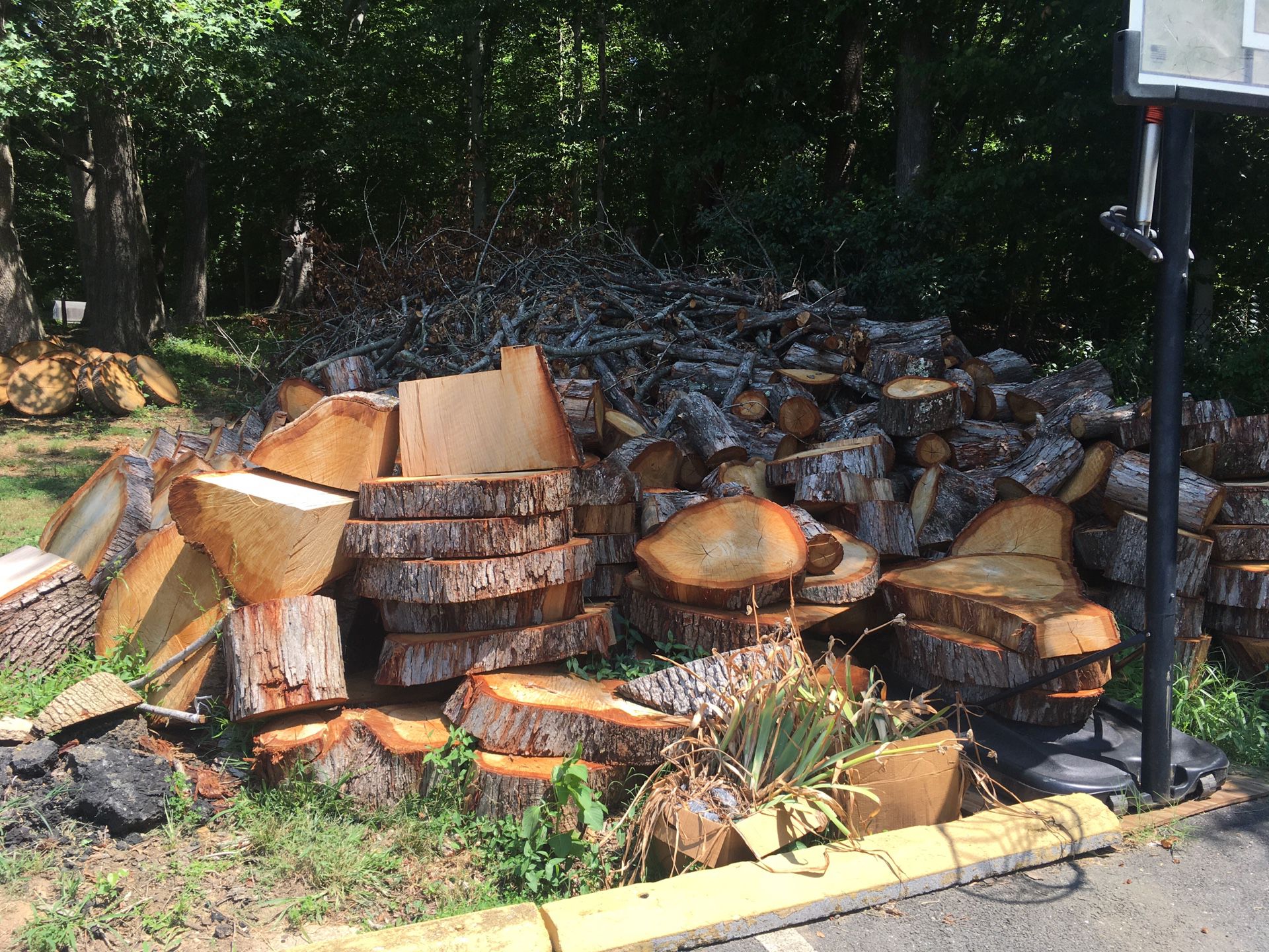 FREE Oak Wood! Firewood or projects - you pick up!