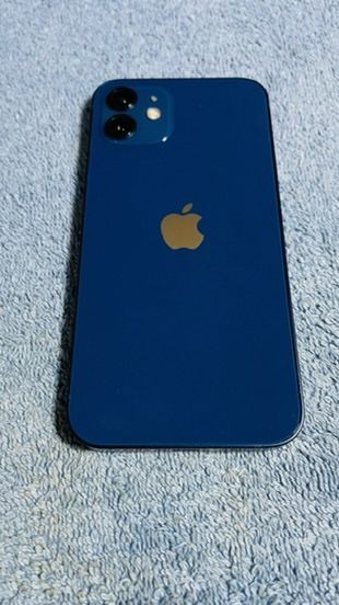Blue Factory Unlocked iPhone 12