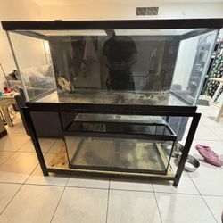 75g and 40g Aquarium 
