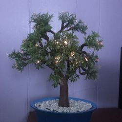 Light Up Tree