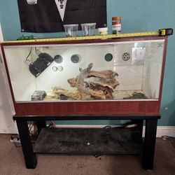 Reptile Tank