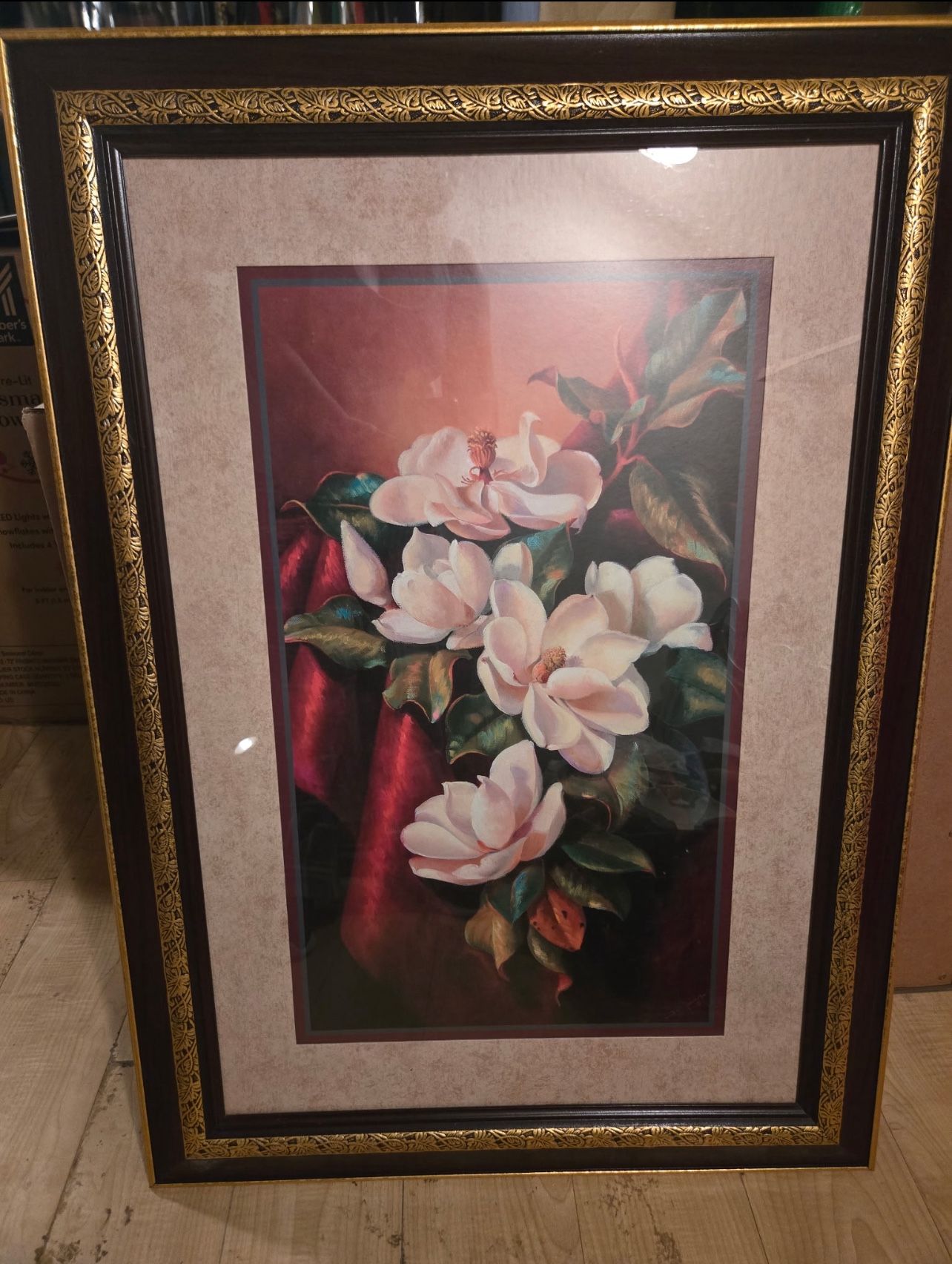Vintage Magnolias & Color Fruits Frames