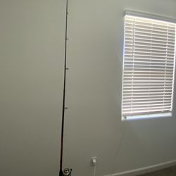 Power Plus Fishing rod 
