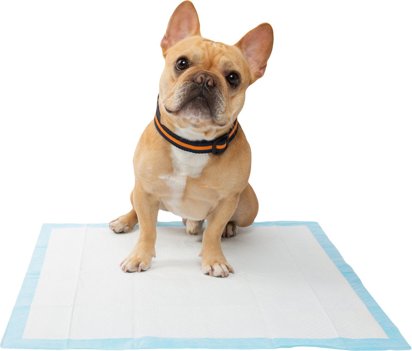 Frisco dog Training And Potty pad 22x23 150 Sheets