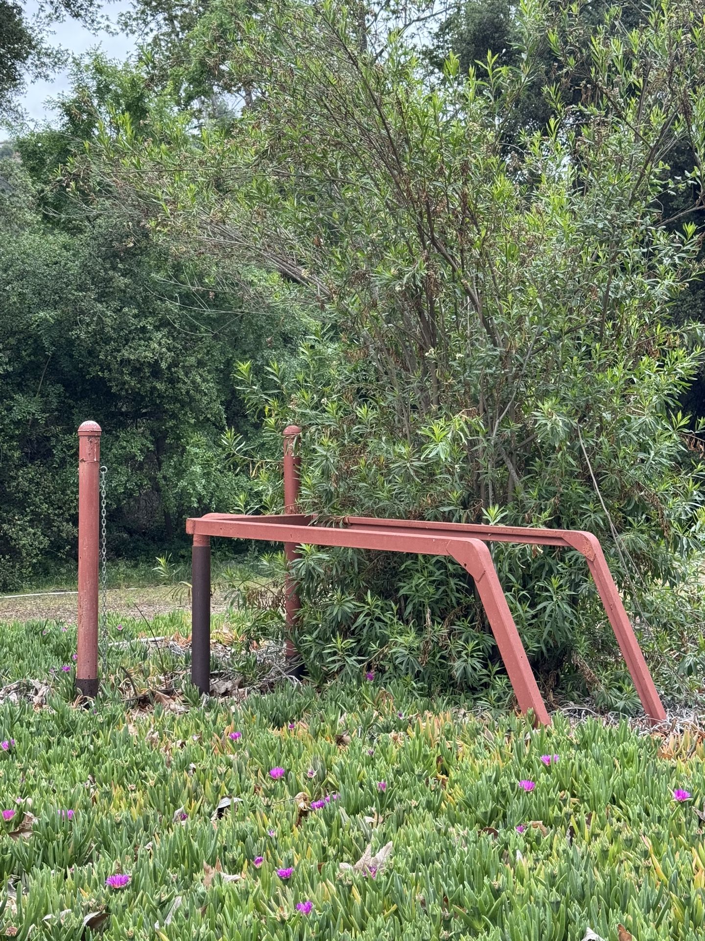 Horse Wash Station