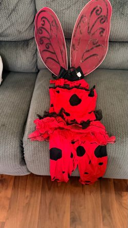 Ladybug costume