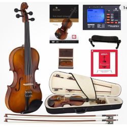 Violin