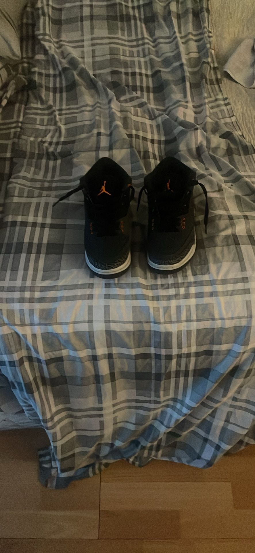 Jordan 3 “fear” Size 7