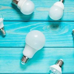Light Bulbs