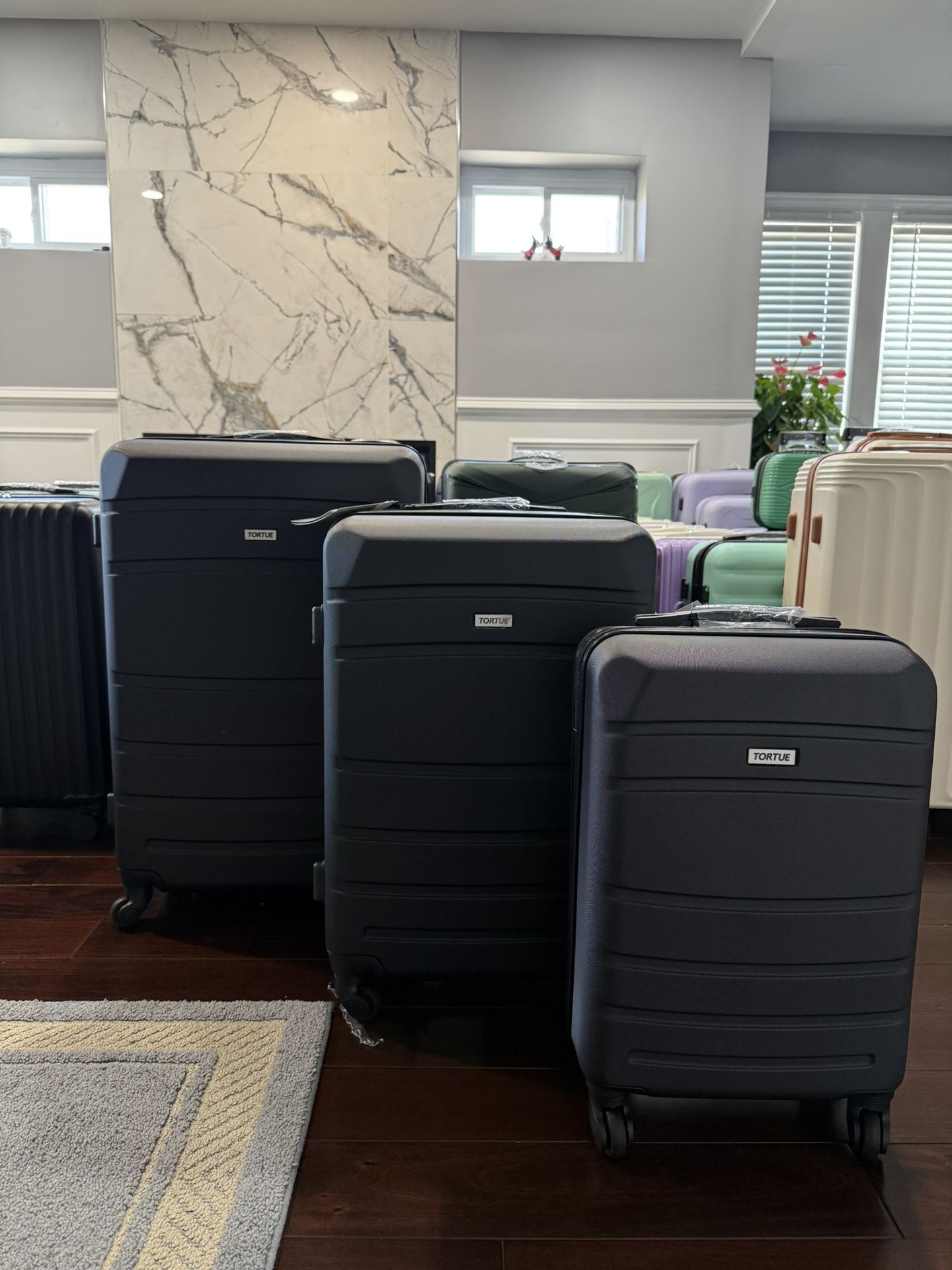Luggage Set