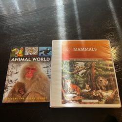 Good and the Beautiful Curriculum 