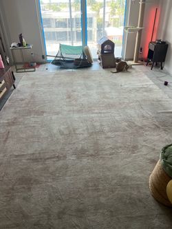 10’ x 14’ rug