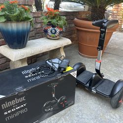Segway Ninebot MiniPro Self Belancing Electric Scooter 