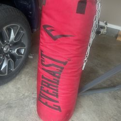💥 Everlast Red Heavy Punching Bag 💥