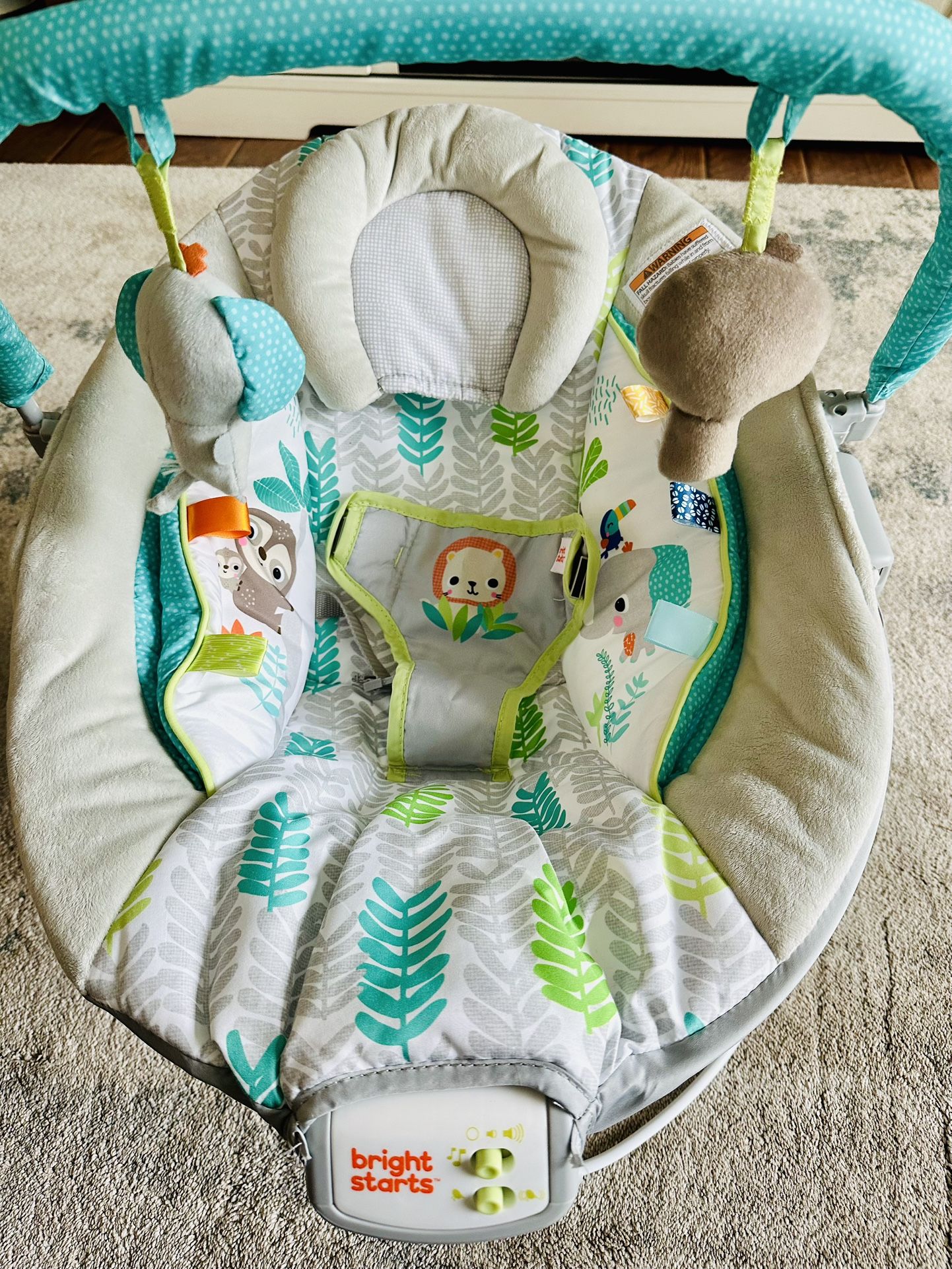 Bright Stars Baby Bouncer Chair