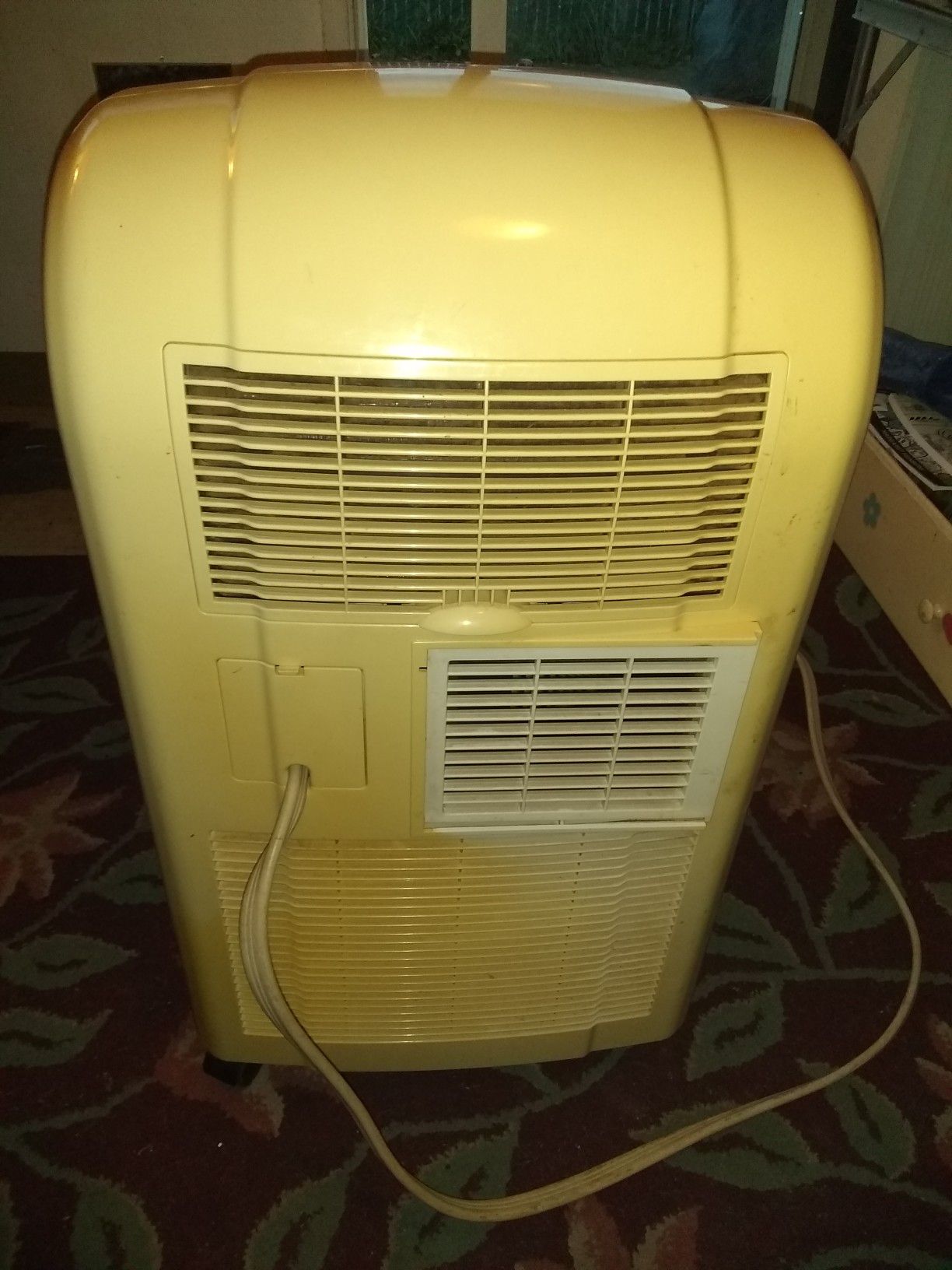 Everstar Portable Air Conditioner/Dehumidifier for Sale in Sedro