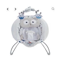 Fisher-Price Deluxe Baby Bouncer Seat ā Owl Love You Edition