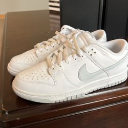 Nike Dunks Men Size 8