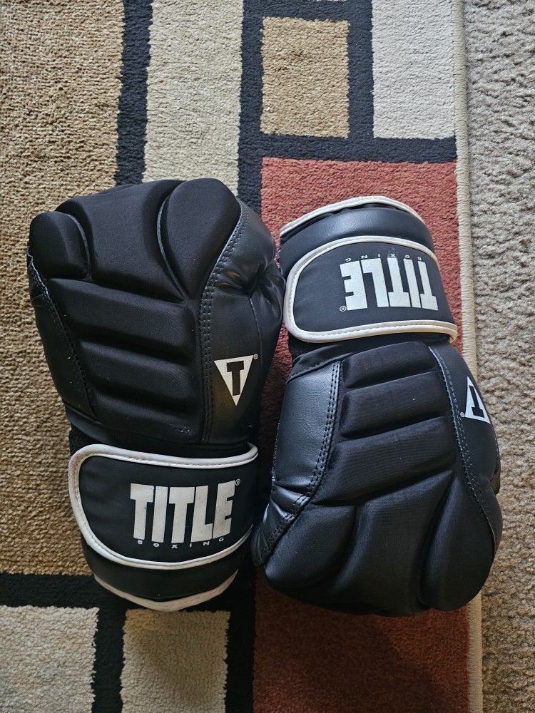 Boxing Gloves Title Boxing
