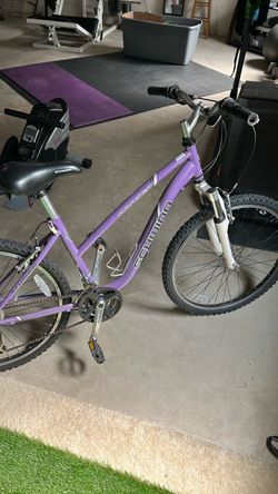 Schwinn girls bike