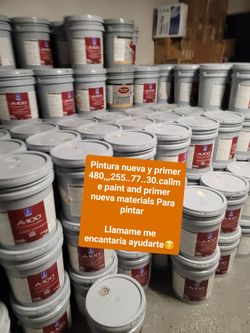 Paint and primer