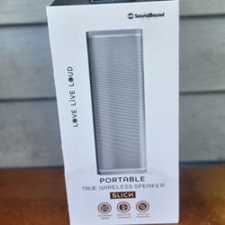 Portable True Wireless Speaker 