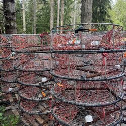 Pacific Quality Traps