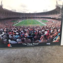 Cleveland Browns Dawg Pound