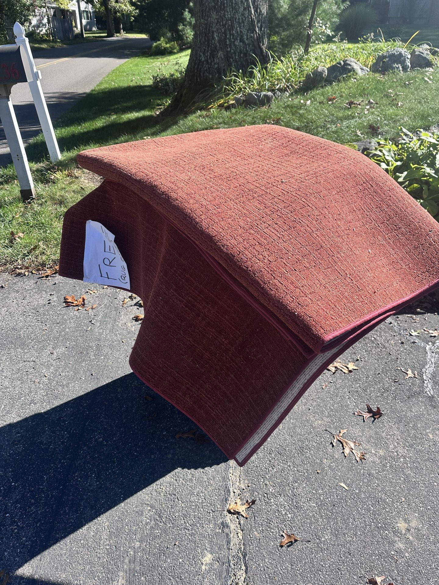 Free Rug 12 X 9 Feet