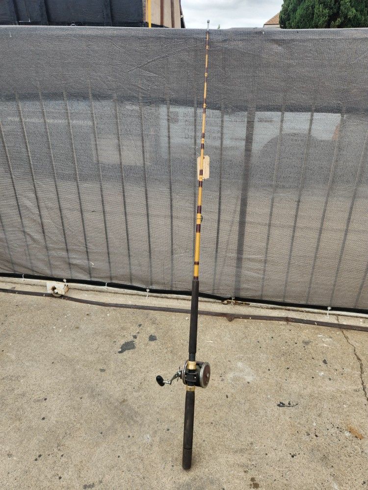 Fishing Rod With Reel