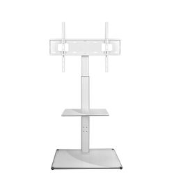 Floor TV Stand with Shelf and Mount Bracket