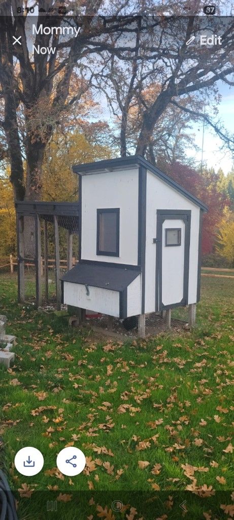 Large Chicken Coop