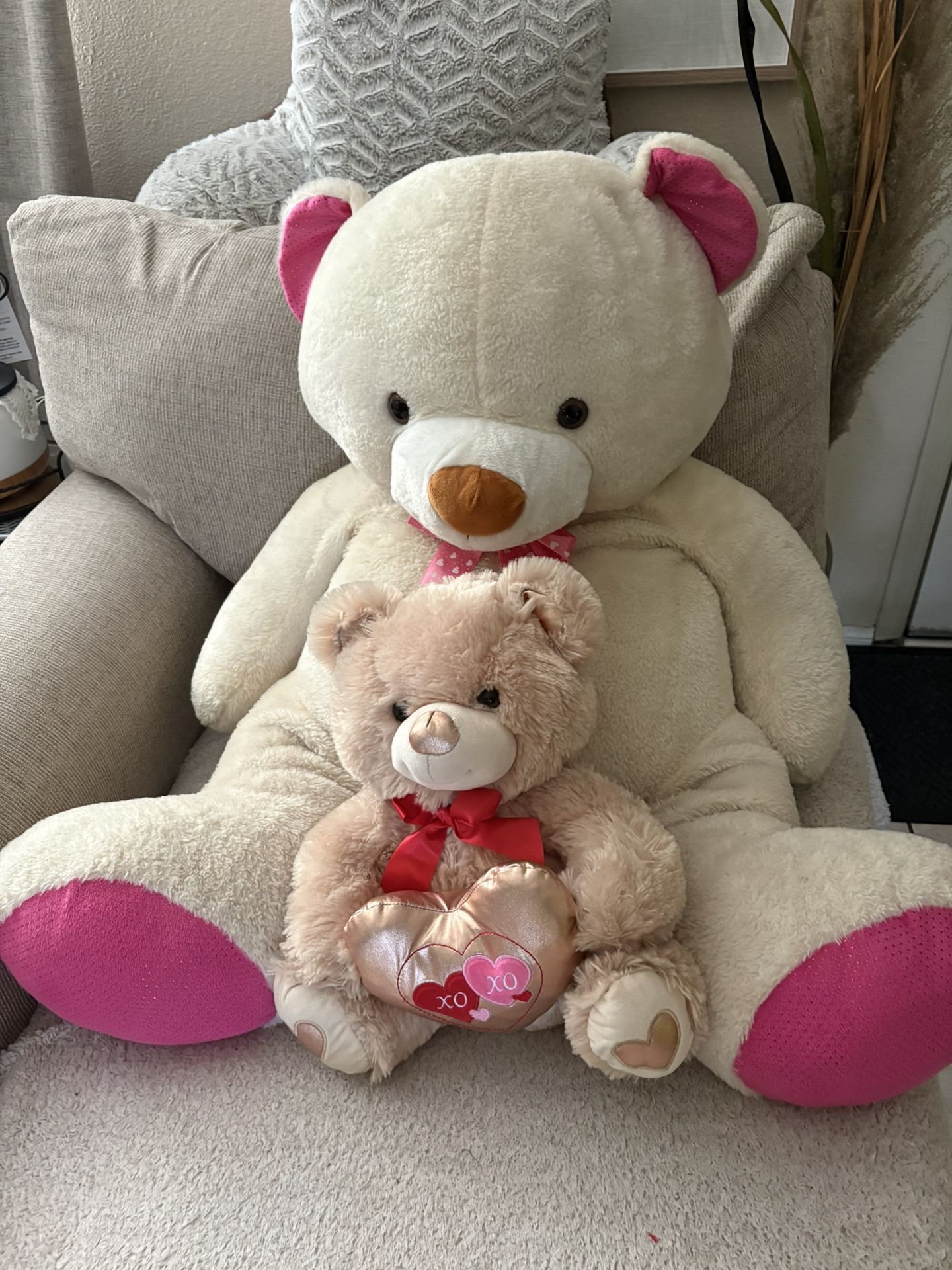 Big / small Teddy bear