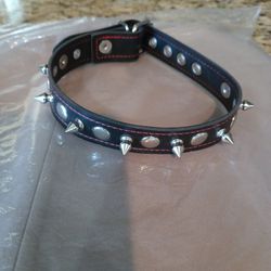 Spiked Leather Like Dog Collar