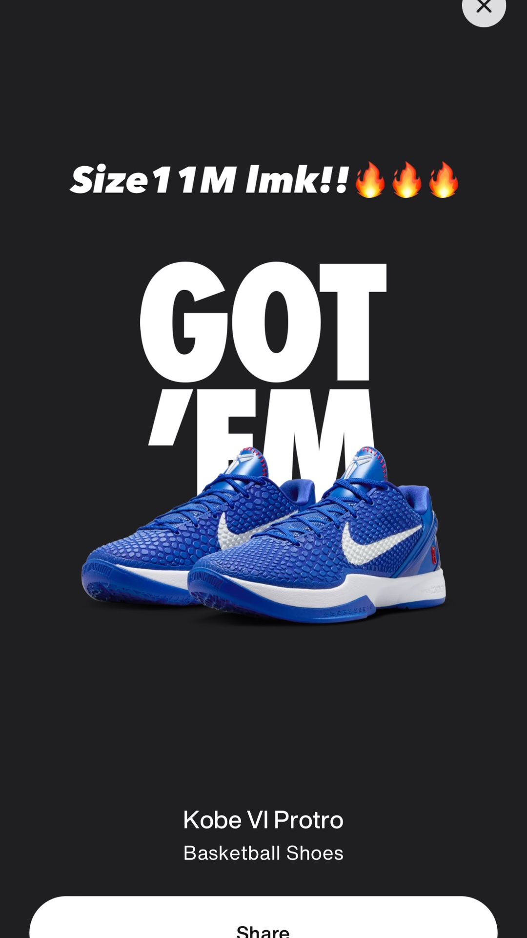Nike Kobe 6 Protro