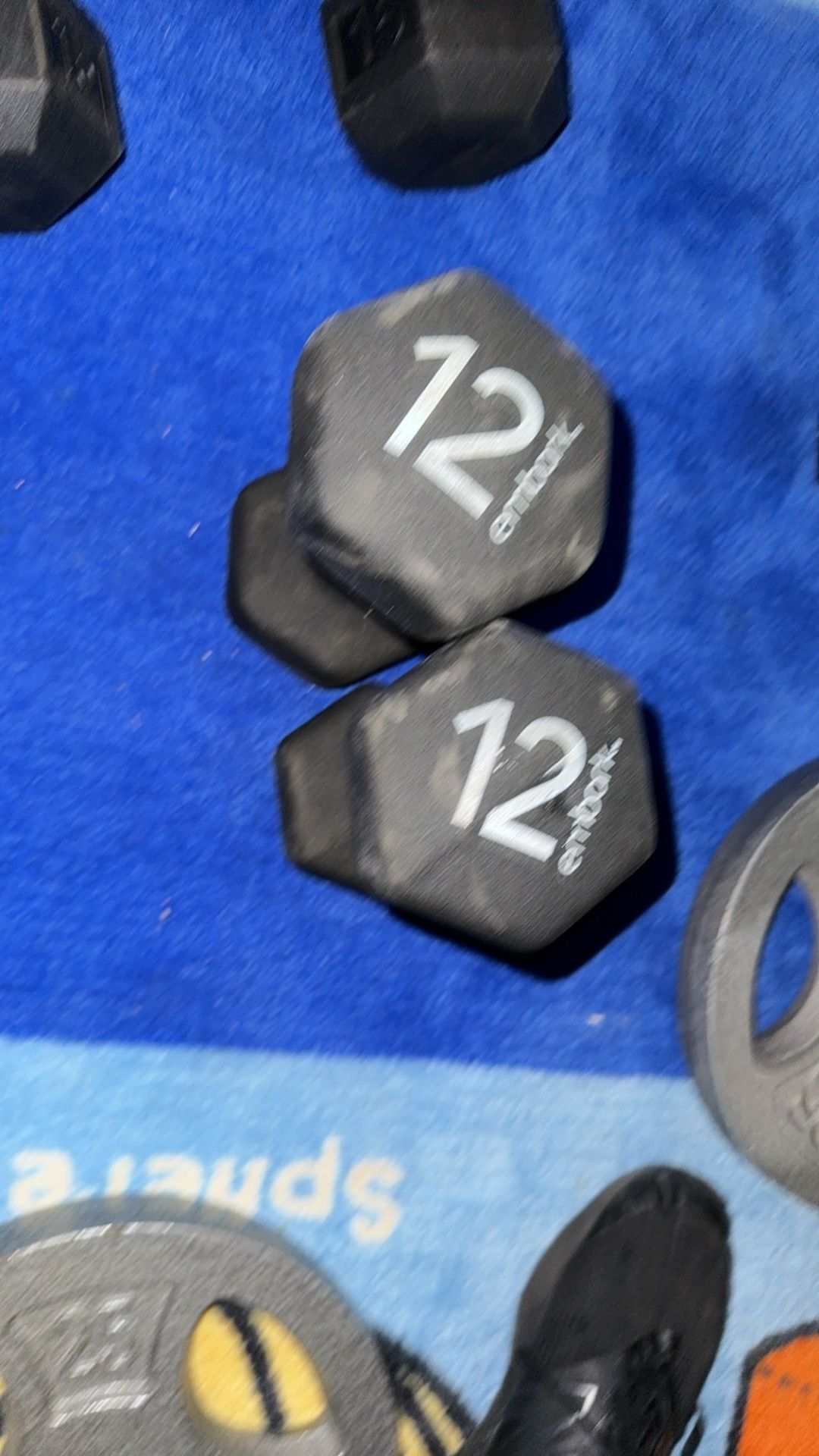 12 Lbs Dumbbells