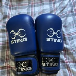 Sting boxing gloves